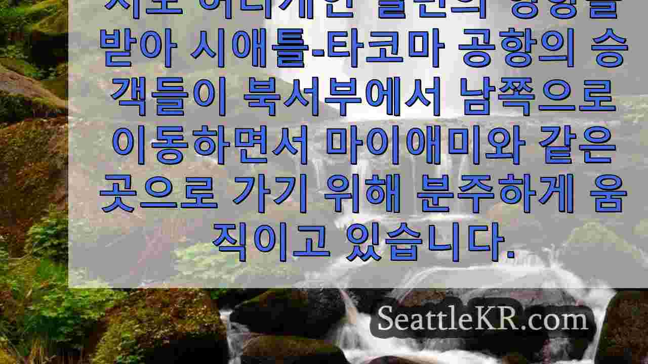 허리케인 밀턴이 상륙하기 전 마이애미로 달려가는 워싱턴주 여행객들