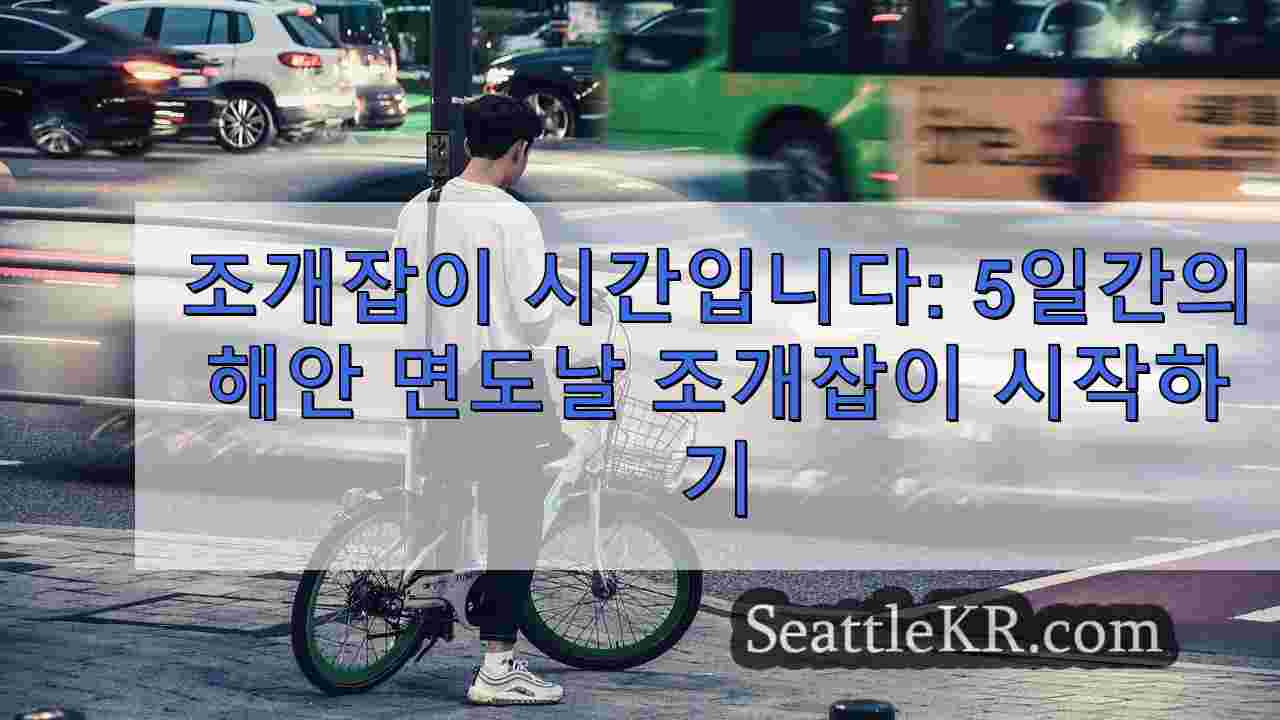 시애틀 뉴스 SeattleKR