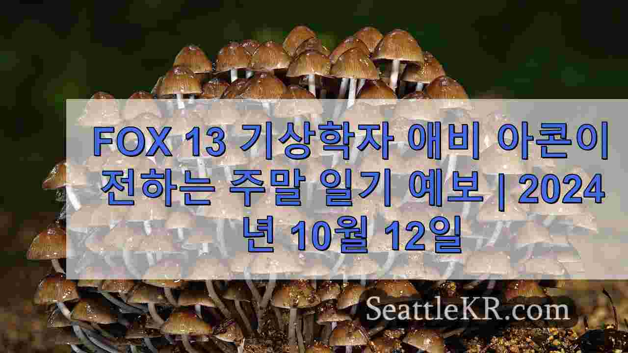 시애틀 뉴스 SeattleKR