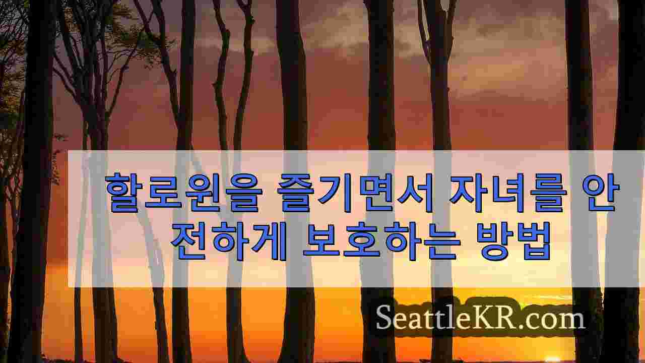 시애틀 뉴스 SeattleKR