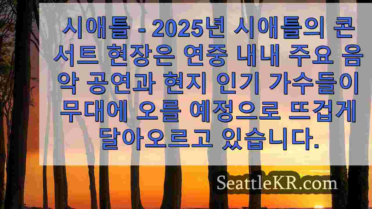 시애틀의 2025년 콘서트 캘린더는 최고의 스타들을 무대로 불러들입니다.