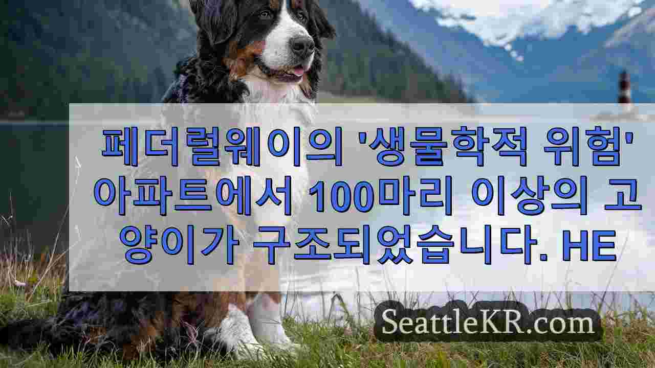 시애틀 뉴스 SeattleKR