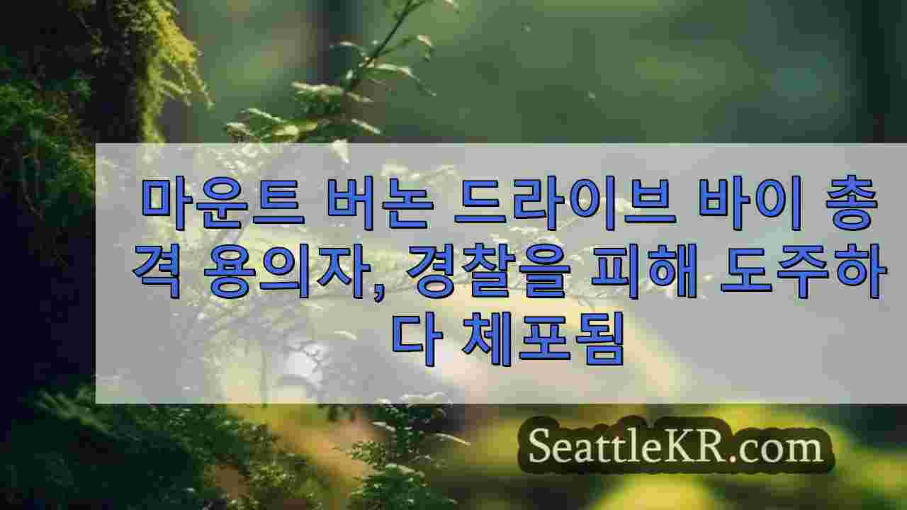 시애틀 뉴스 SeattleKR