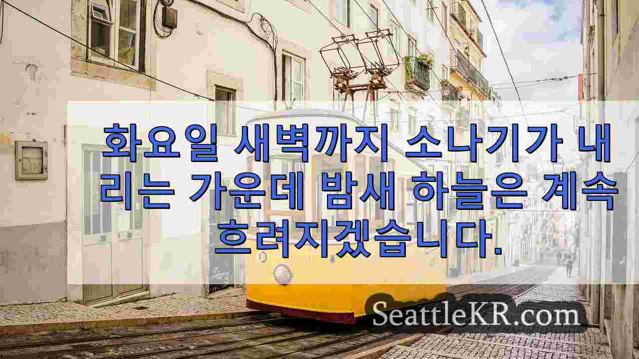 시애틀 뉴스 SeattleKR