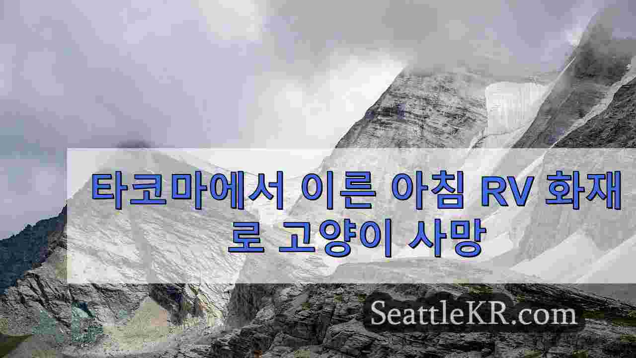 시애틀 뉴스 SeattleKR