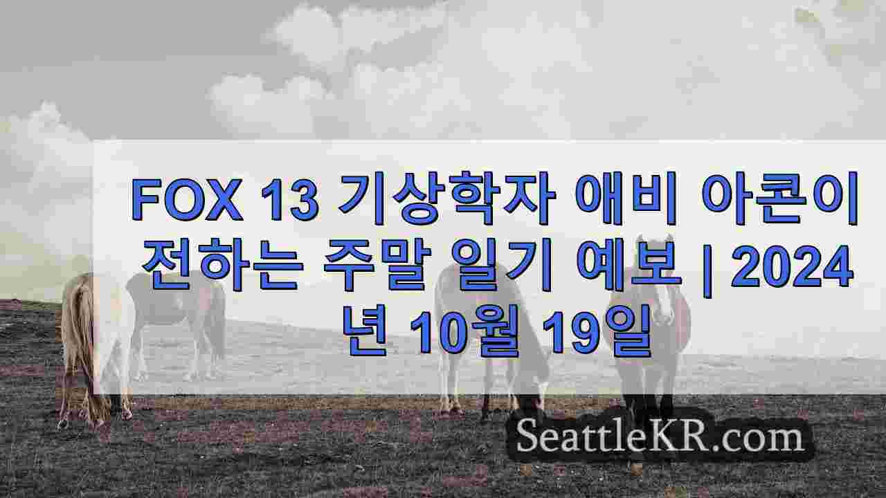 시애틀 뉴스 SeattleKR
