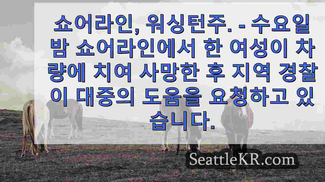 시애틀 뉴스 SeattleKR