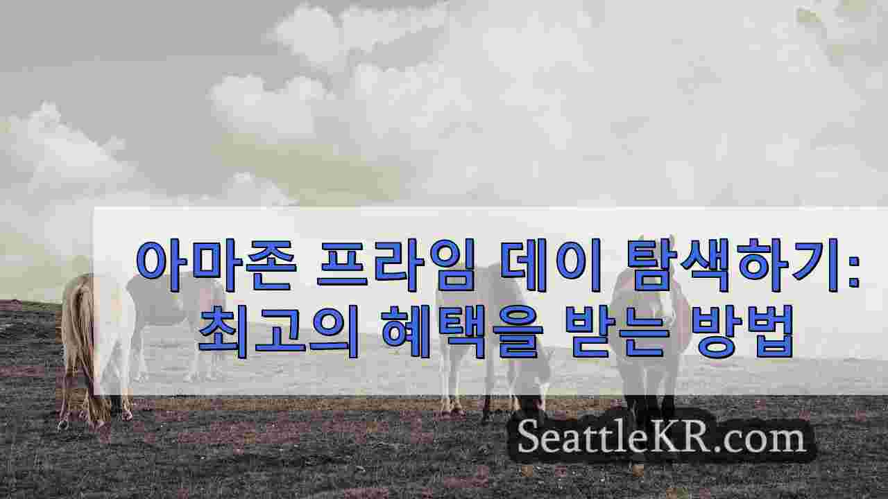 시애틀 뉴스 SeattleKR