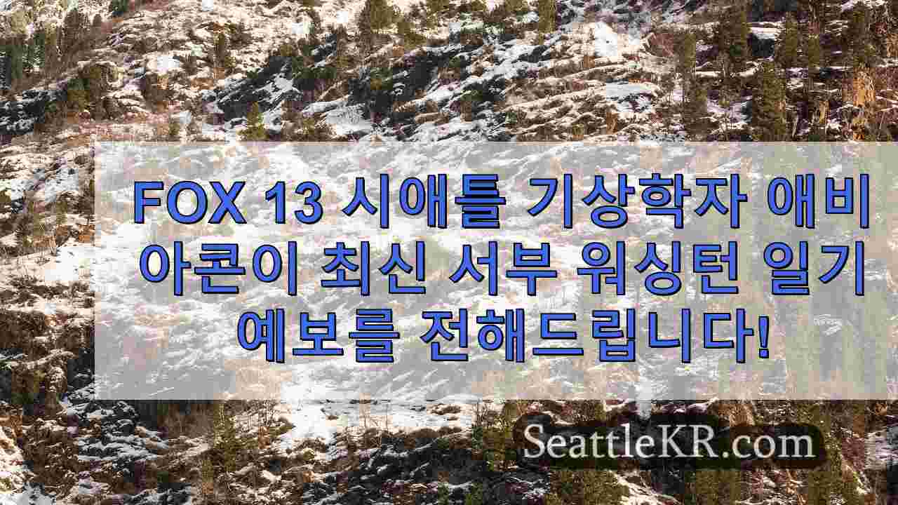 시애틀 뉴스 SeattleKR