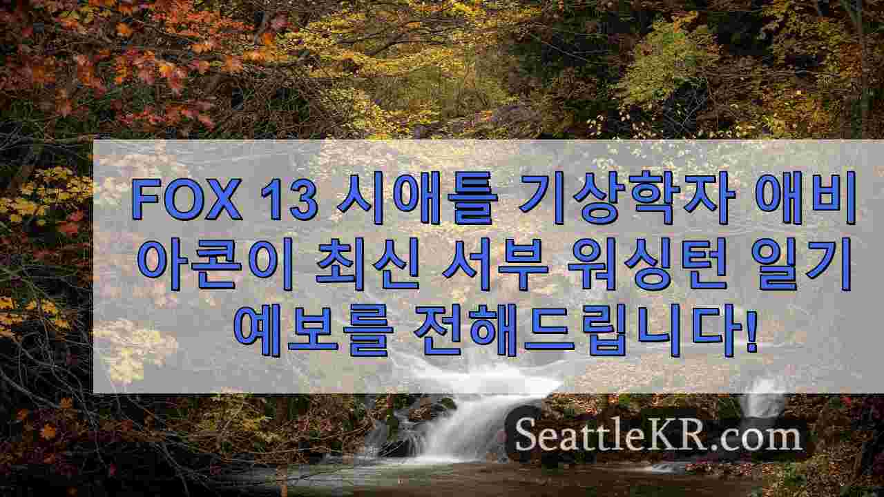 이번 주말 시애틀 지역의 회색 하늘, 비, 돌풍이 예상되는 날씨
