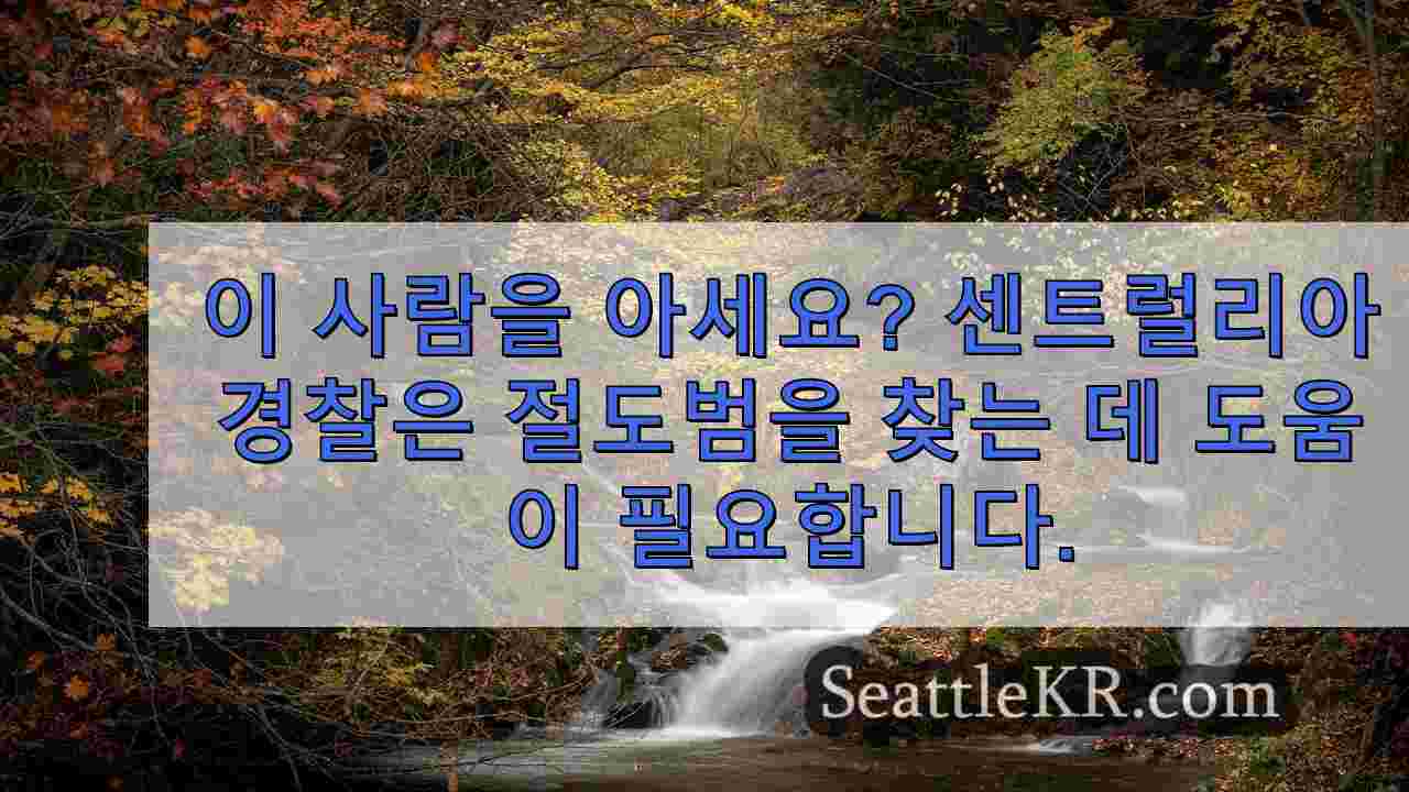 시애틀 뉴스 SeattleKR