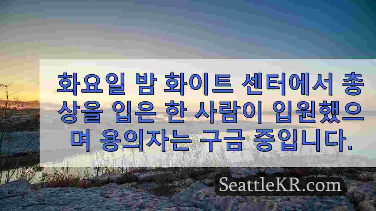 시애틀 뉴스 SeattleKR
