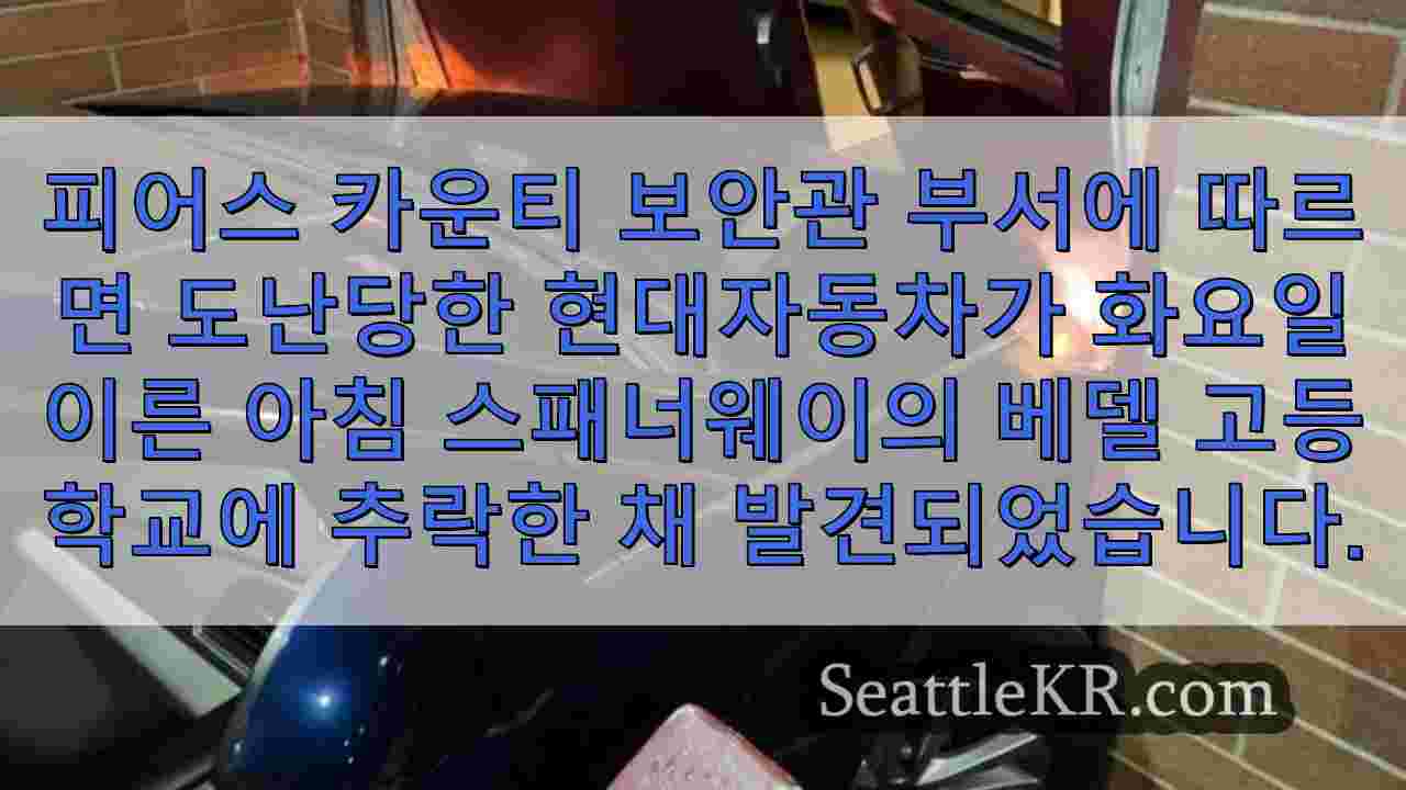 시애틀 뉴스 SeattleKR