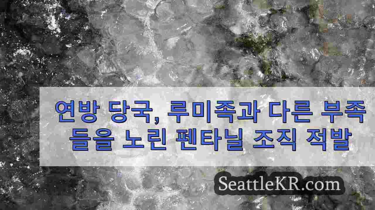 시애틀 뉴스 SeattleKR