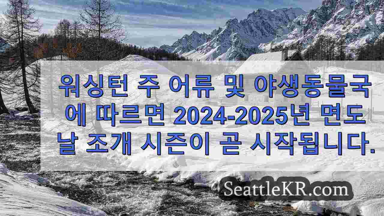 시애틀 뉴스 SeattleKR