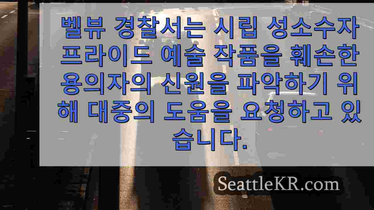 시애틀 뉴스 SeattleKR