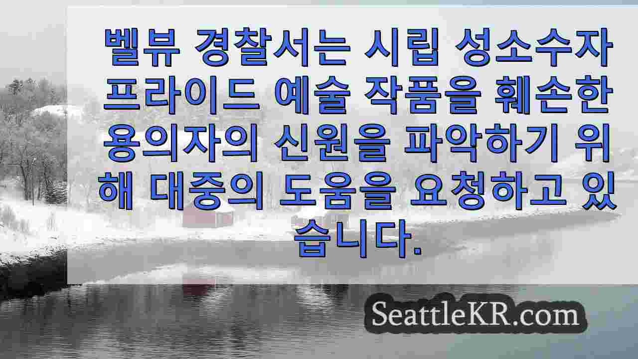 시애틀 뉴스 SeattleKR