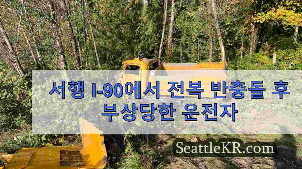 시애틀 뉴스 SeattleKR