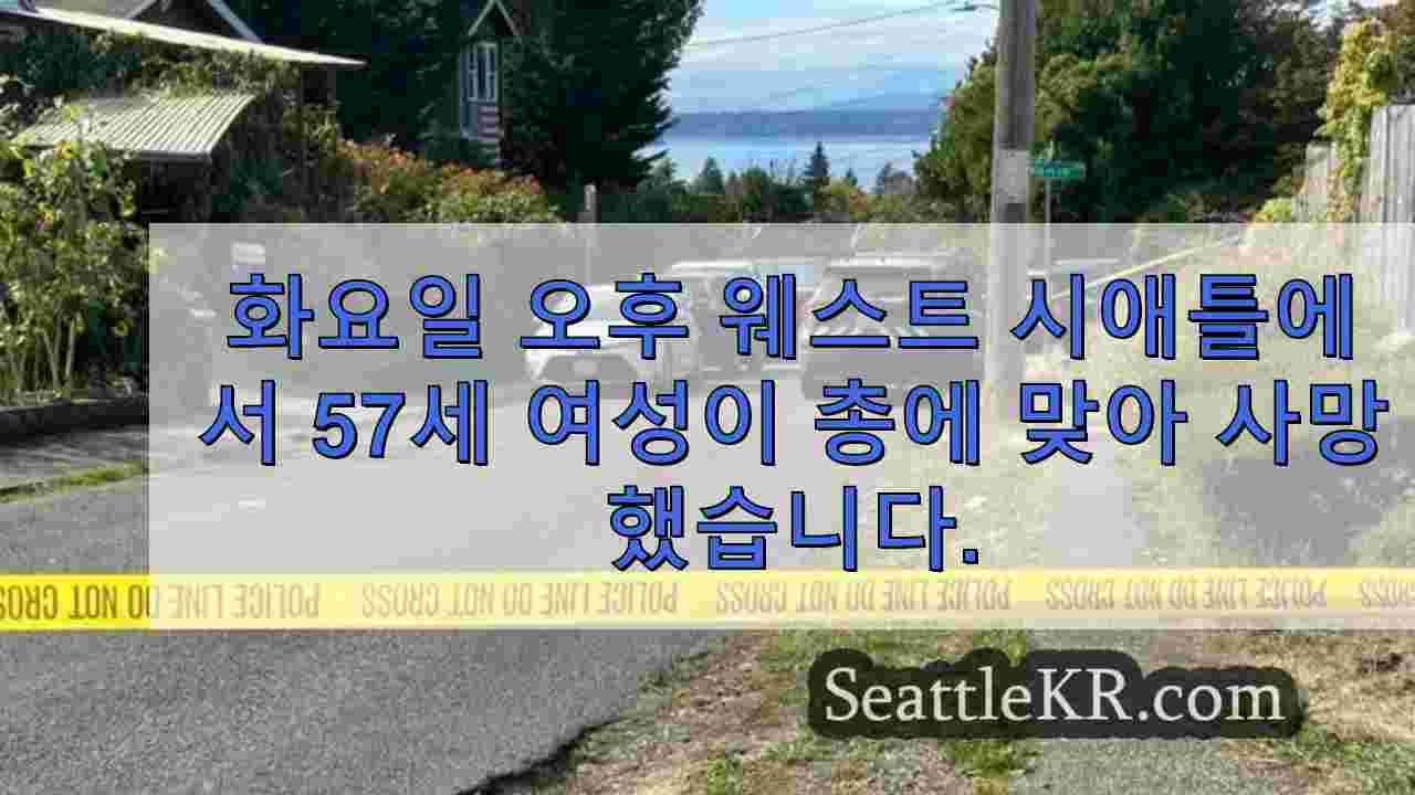 시애틀 뉴스 SeattleKR