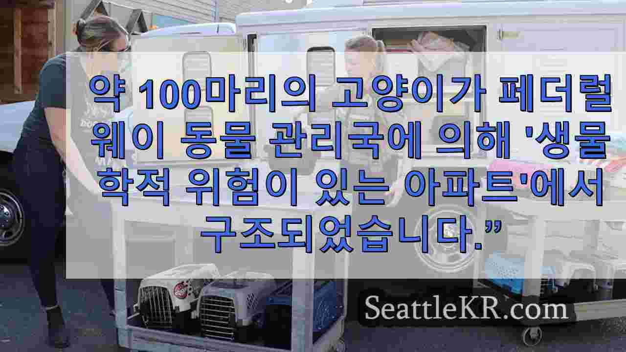 페더럴웨이의 생물학적 위험 아파트에서 거의 100마리의 고양이가 구조되었습니다.