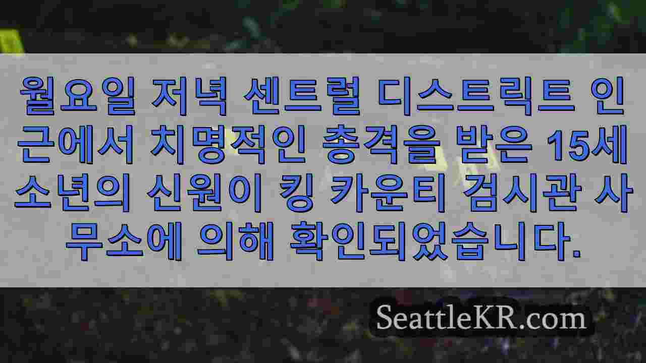 시애틀 뉴스 SeattleKR