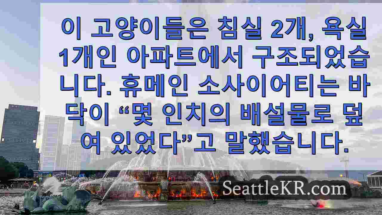 시애틀 뉴스 SeattleKR