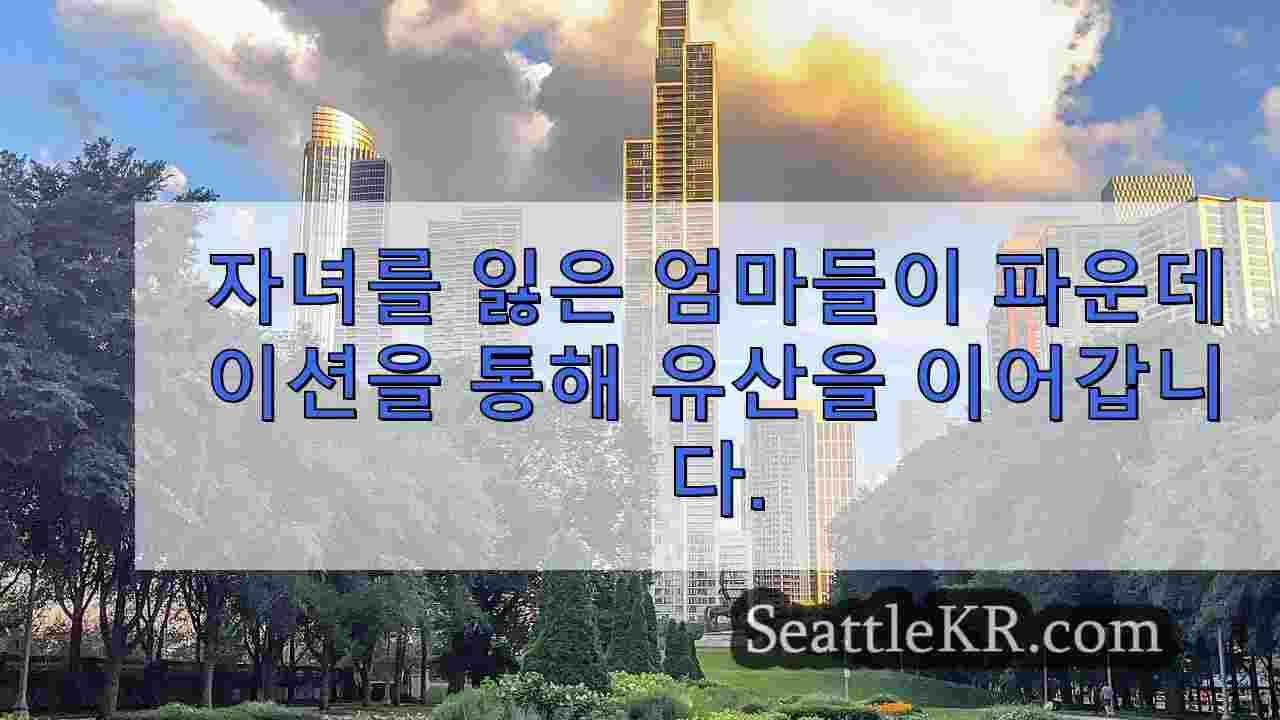 시애틀 뉴스 SeattleKR