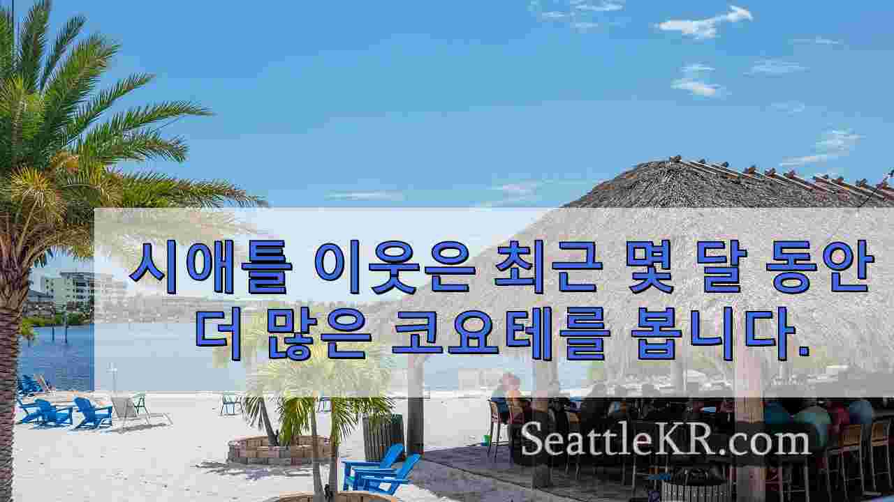 시애틀 뉴스 SeattleKR