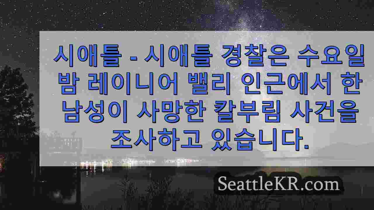 시애틀 레이니어 밸리 인근에서 칼에 찔려 사망한 남성