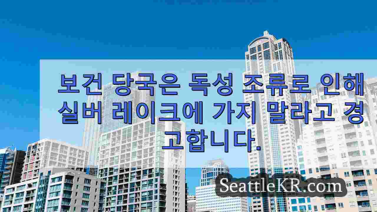 시애틀 뉴스 SeattleKR