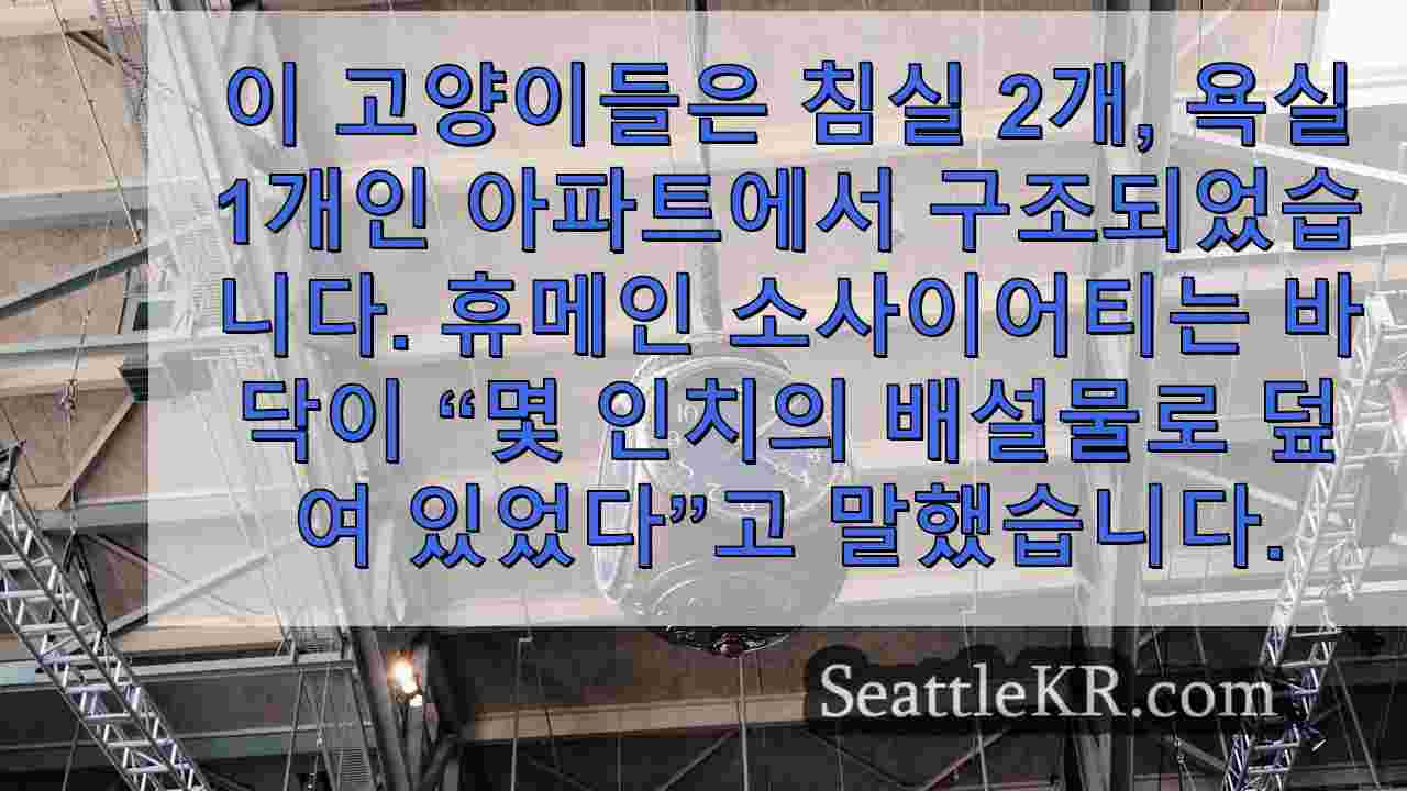 시애틀 뉴스 SeattleKR