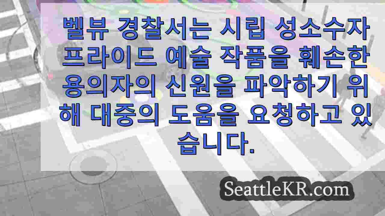 벨뷰 경찰, 프라이드 예술품 기물 파손 용의자 신원 확인을 위해 대중의