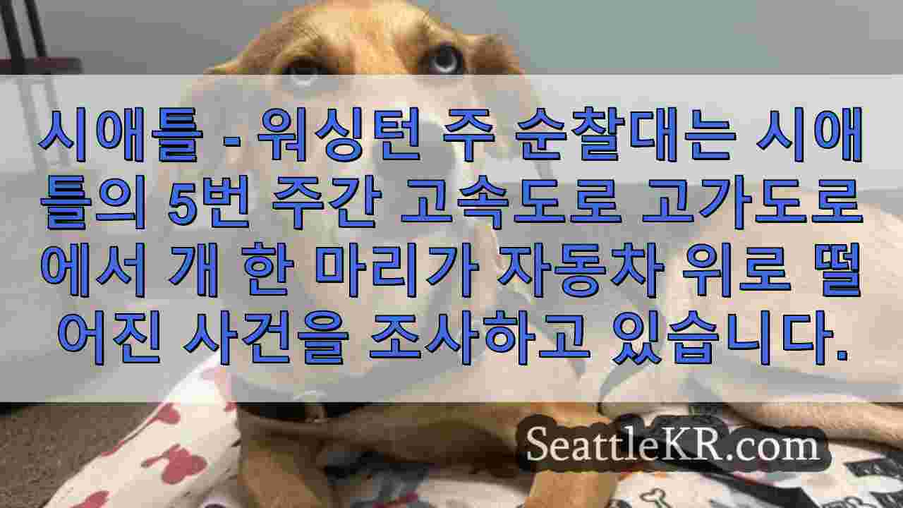 시애틀의 I-5 고가도로에서 개가 차에 떨어지다, WSP 조사 중