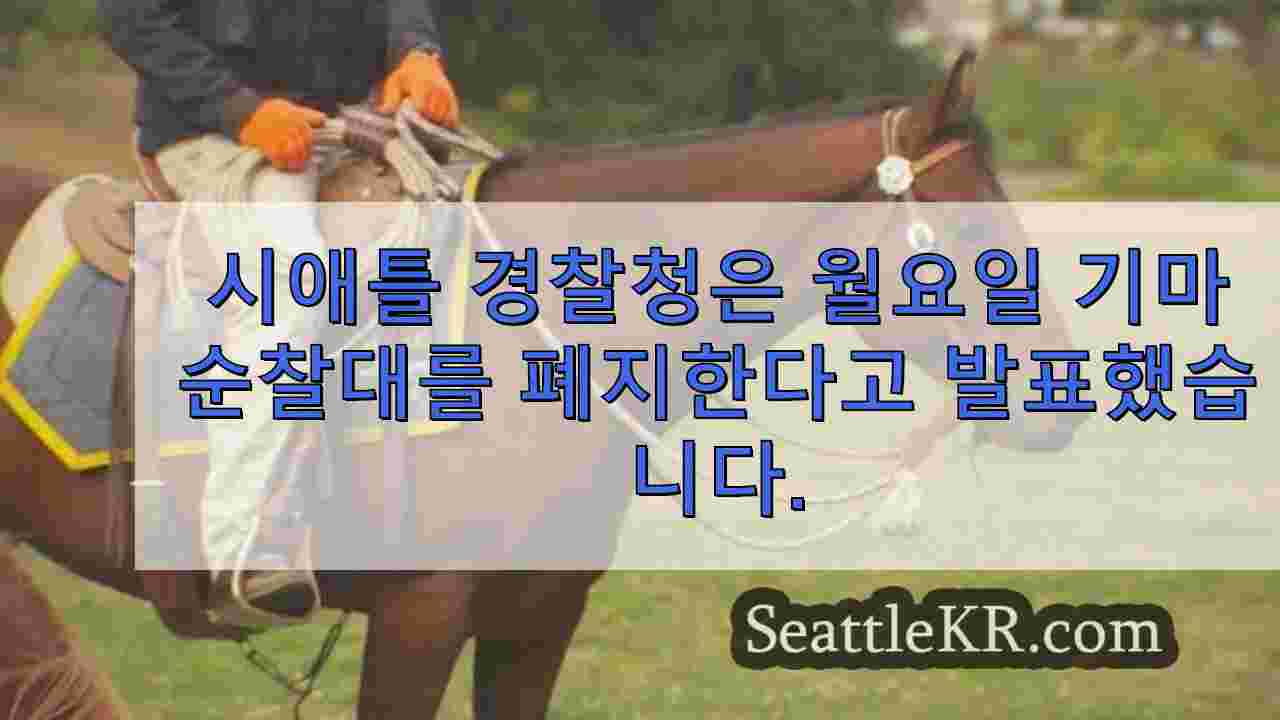 시애틀 뉴스 SeattleKR