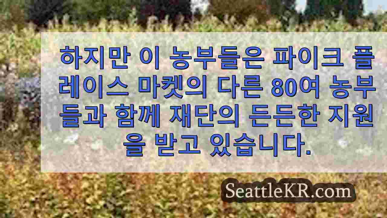 시애틀 뉴스 SeattleKR