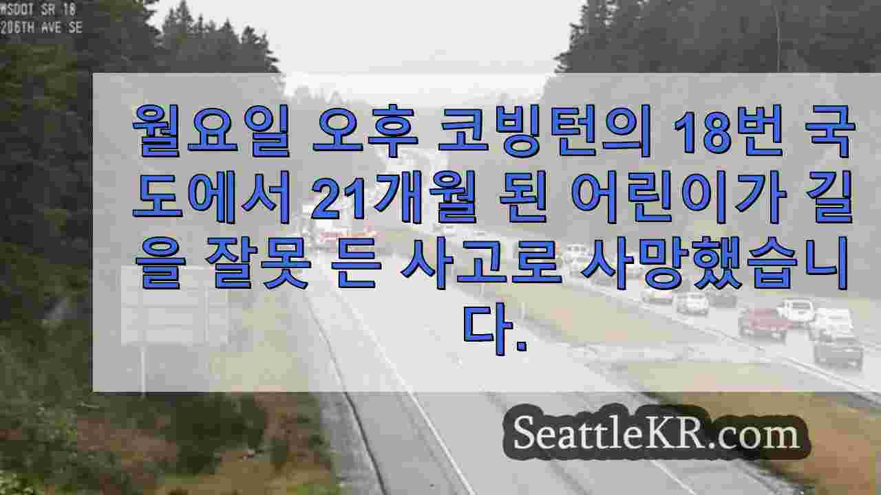 시애틀 뉴스 SeattleKR