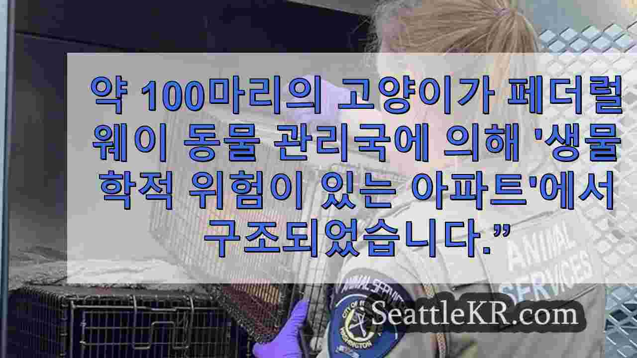 시애틀 뉴스 SeattleKR