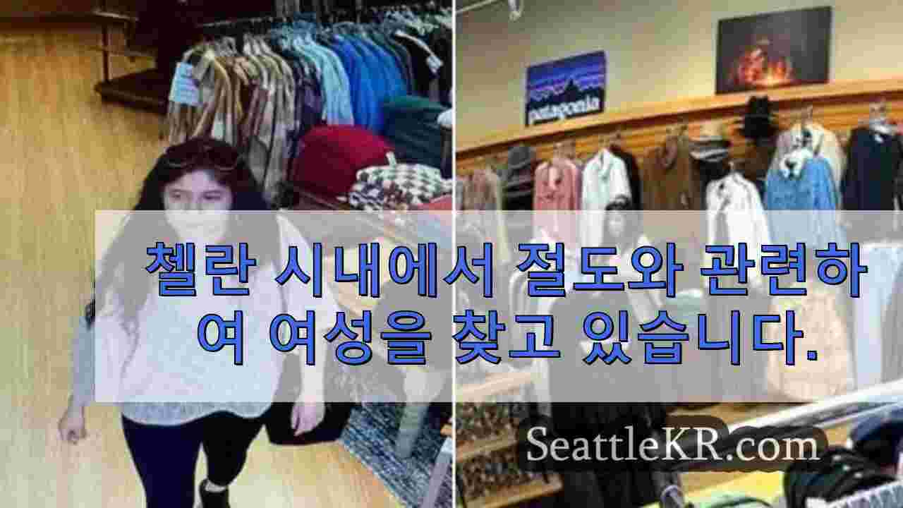 첼란 시내에서 절도와 관련하여 여성을 찾고 있습니다.