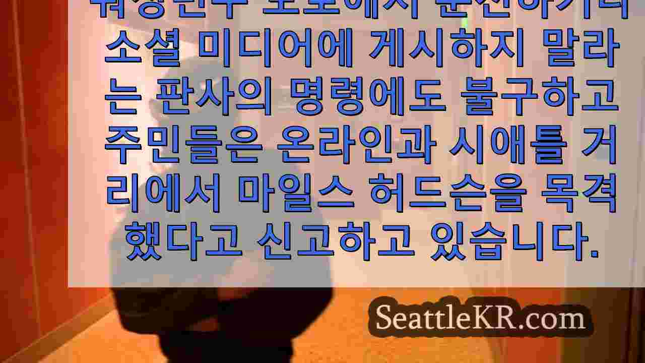 시애틀의 '벨타운 헬캣', 법정에 앞서 홈 모니터링 규칙을 무시하다