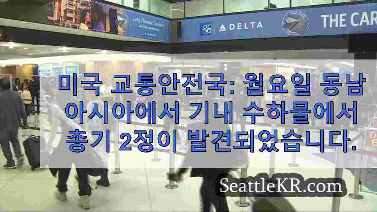 미국 교통안전국: 월요일 동남아시아에서 기내 수하물에서 총기 2정이