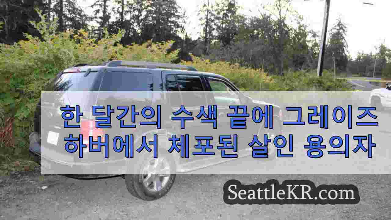 한 달간의 수색 끝에 그레이즈 하버에서 체포된 살인 용의자