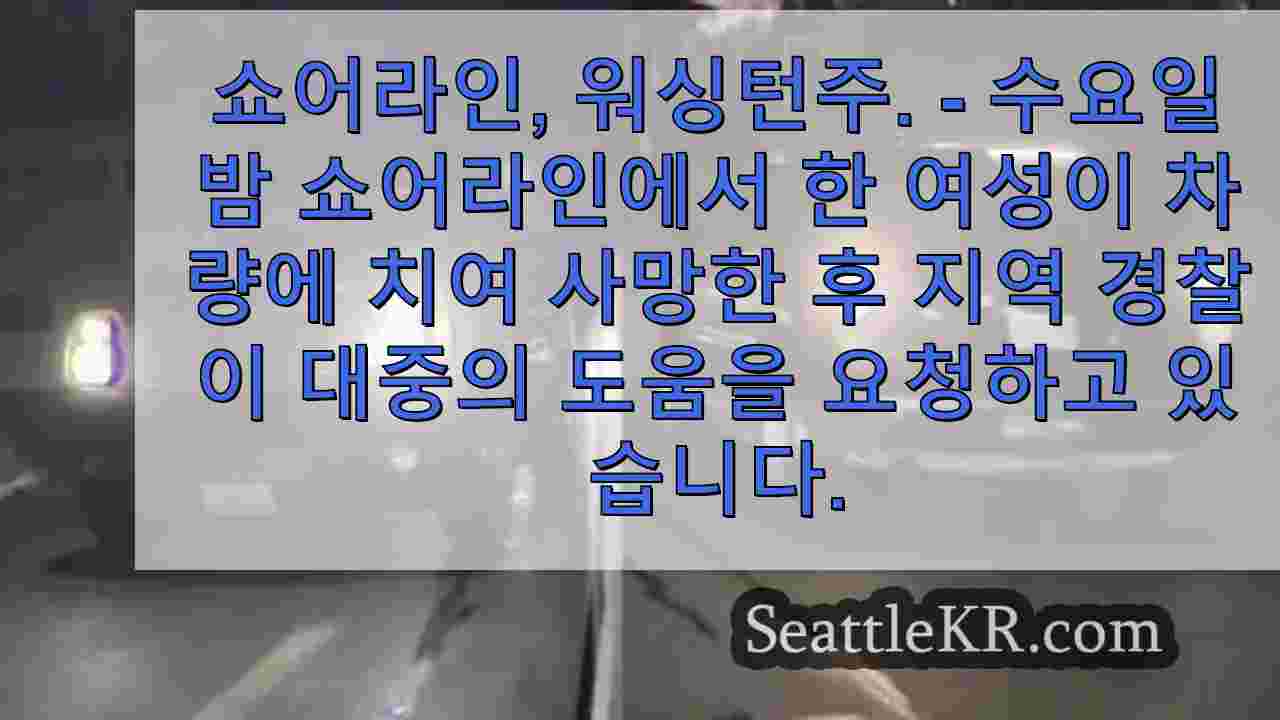 쇼어 라인 뺑소니로 사망 한 여성, WSP는 도움을 구합니다.