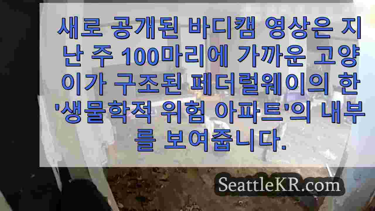 시애틀 뉴스 SeattleKR