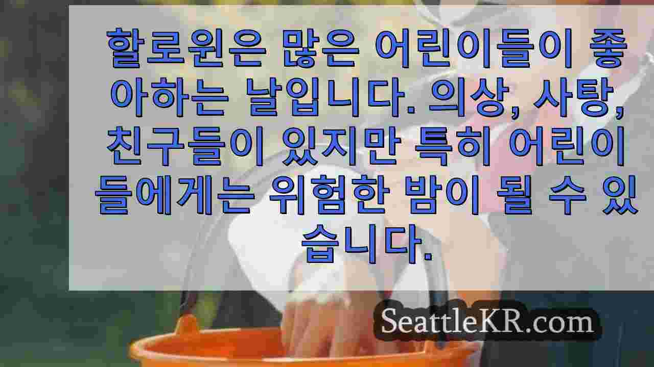 시애틀 뉴스 SeattleKR
