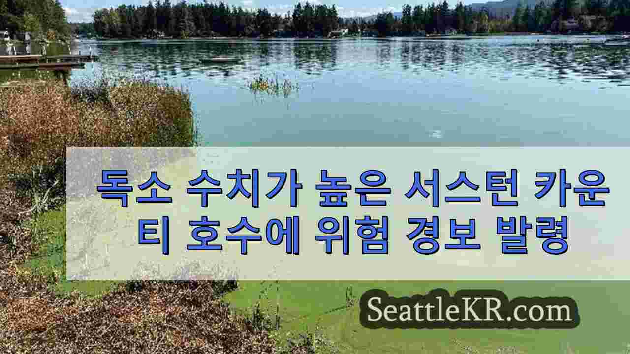 높은 독소 수치 감지 후 서스턴 카운티 호수에 위험 경보 발령