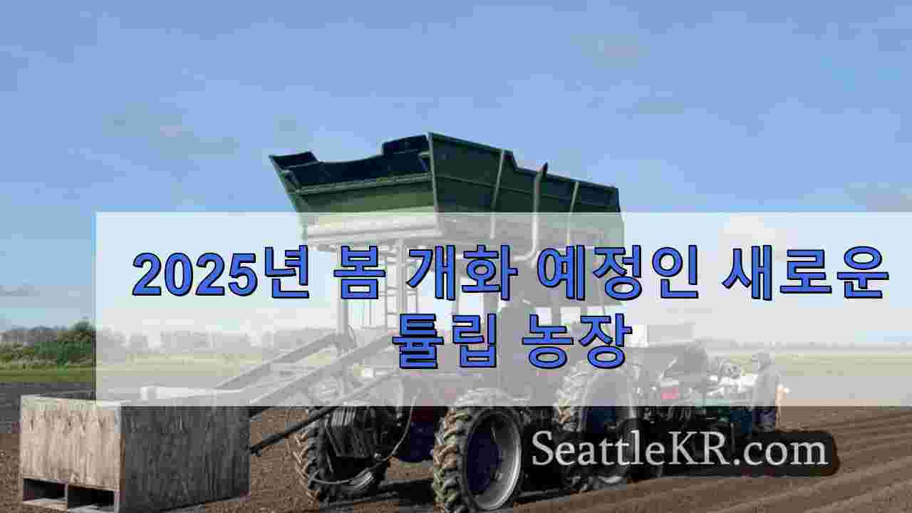 시애틀 뉴스 SeattleKR