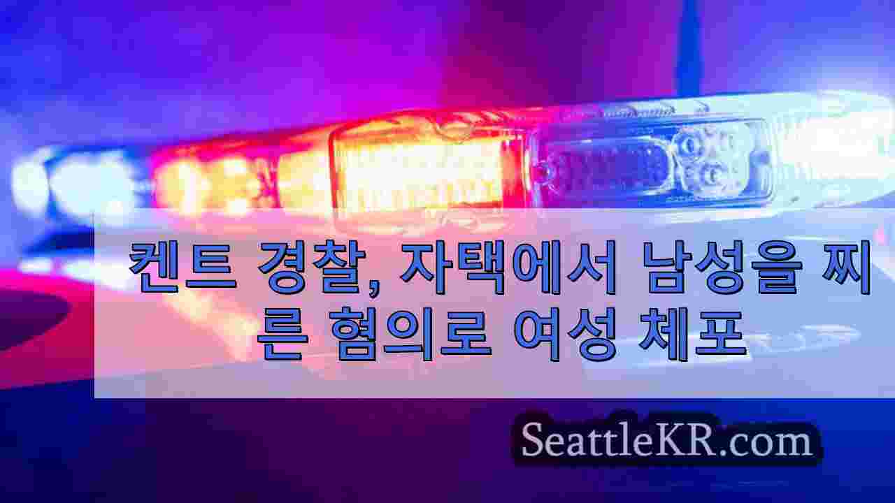 켄트 경찰, 자택에서 남성을 찌른 혐의로 여성 체포