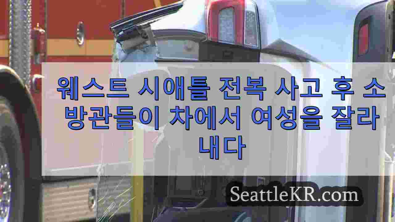 시애틀 뉴스 SeattleKR