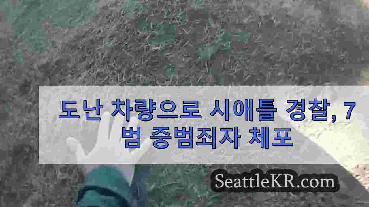 도난 차량으로 시애틀 경찰, 7범 중범죄자 체포