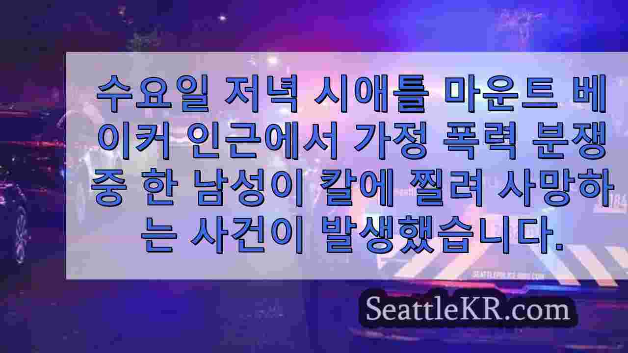 시애틀 뉴스 SeattleKR